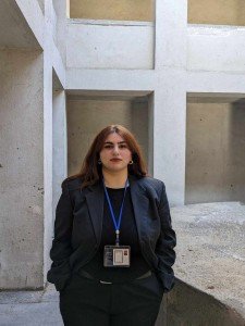 მარი მალვენოვი