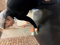 კათარზისში მოხალისეობა